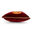 thumbnail image 5 of Licensed Decorative Pillow, 20" x 20", 5 of 7