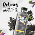 thumbnail image 3 of HERBAL ESS CHARCOAL DUO PACK 13.5 OZ EA, 3 of 4