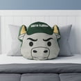 thumbnail image 2 of Logo Brands South Florida Bulls Puff Pillow, 2 of 5