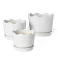 thumbnail image 2 of Member's Mark Ceramic Planters with Saucers, Set of 3, 2 of 9