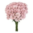 thumbnail image 3 of Member's Mark Painted Poms, 60 Stems, choose color, 3 of 6