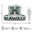 thumbnail image 4 of Logo Brands Hawaii Rainbow Warriors Pre-Lit 7’x10’ Team Inflatable, 4 of 6