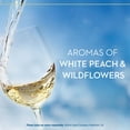 thumbnail image 5 of Ruffino Lumina IGT Pinot Grigio 1.5 L, 5 of 8