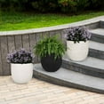 thumbnail image 2 of Member's Mark Grooved Planters - 2 Pack, 2 of 9