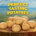 thumbnail image 5 of Ore-Ida Crispy Tater Tots, Frozen, 8 lbs., 5 of 15