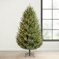 thumbnail image 1 of Member's Mark  7.5' Duchess Fir Pre-Lit Christmas Tree, 1 of 9