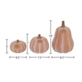 thumbnail image 3 of Member's Mark Terra Cotta Pumpkins, Set of 3, 3 of 3