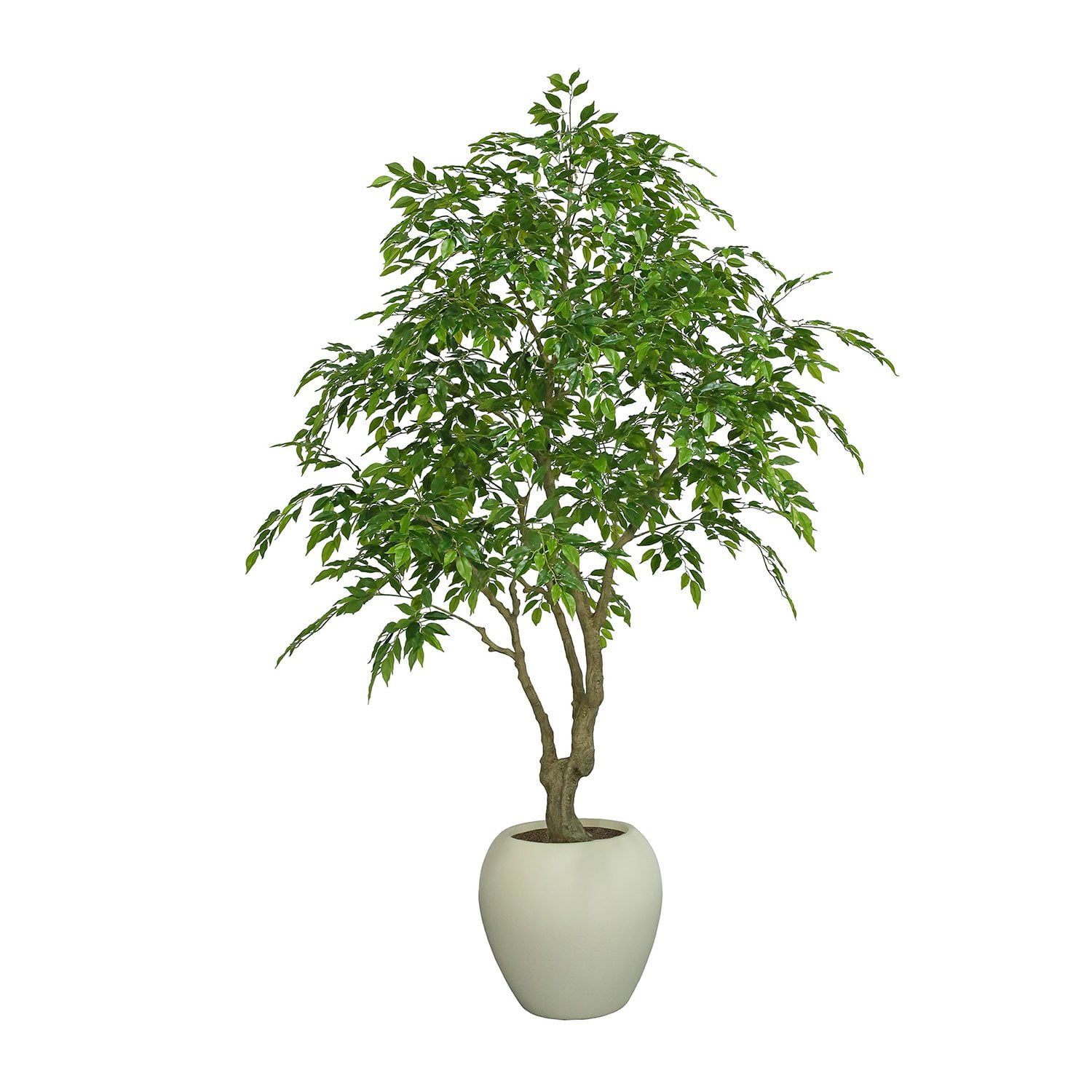 エバーフレッシュ 147cm８号 S-shaped tree form Faux 8' Deluxe Ficus Tree in Oversized Cream Pot - Samsclub.com