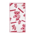 thumbnail image 4 of Logo Brands Wisconsin Badgers 38"x72" Beach Towel, 4 of 6