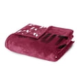 thumbnail image 4 of Logo Brands Southern Illinois Salukis 60"x70" Super Plush Blanket, 4 of 7