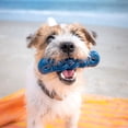 thumbnail image 6 of Power Chew Love Our Oceans, Dog Chew Toy, 3 pk., 6 of 8
