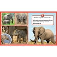 thumbnail image 3 of Me Reader: National Geographic Kids, Sound Book, 3 of 4