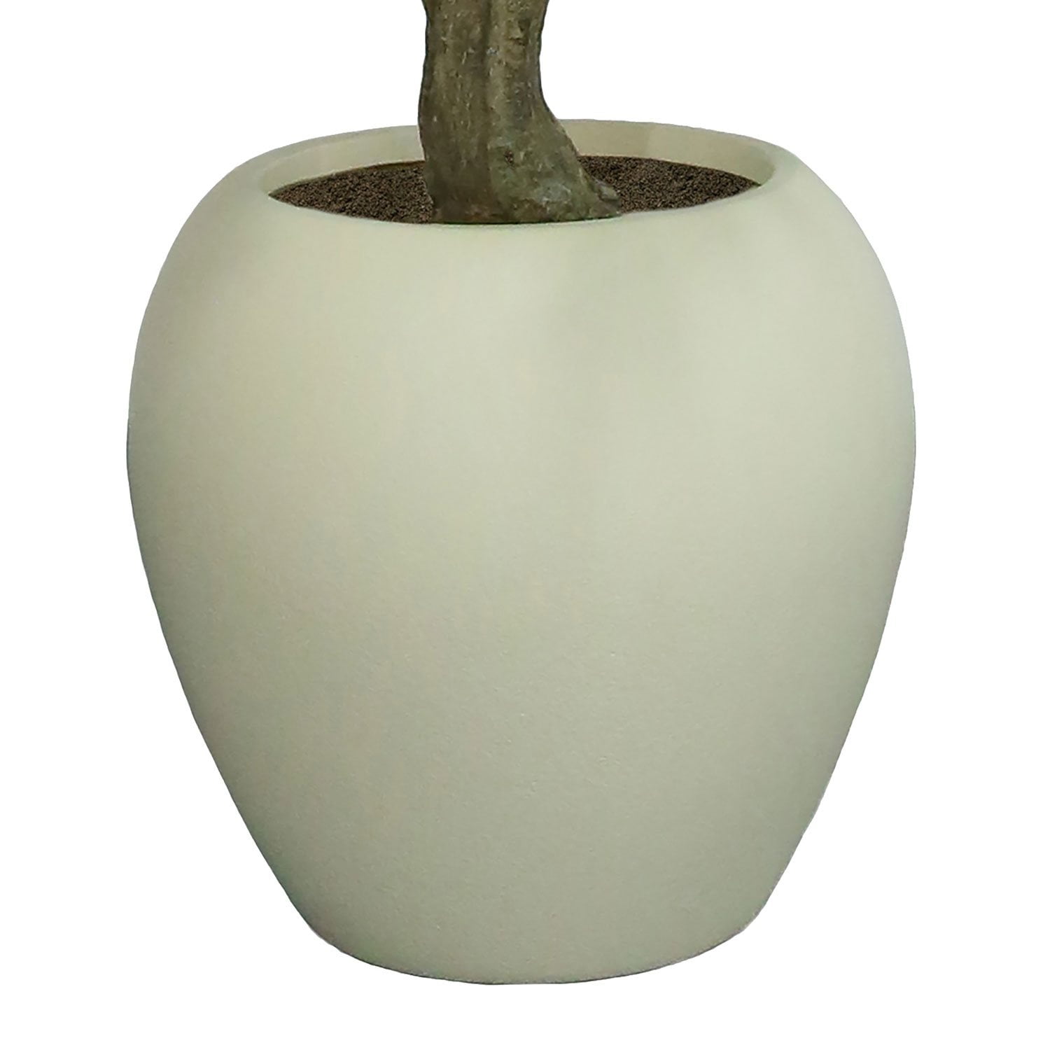 Faux 8' Deluxe Ficus Tree in Oversized Cream Pot - Samsclub.com