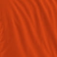 thumbnail image 3 of Logo Brands San Francisco Giants Bed-In-A-Bag Set, 3 of 5