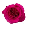 thumbnail image 2 of Member's Mark Ecuadorian Premium Roses, choose color variety and stem count, 2 of 6