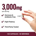thumbnail image 3 of Force Factor Primal Origins Beef Liver Capsules, 120 ct., 3 of 4