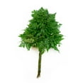 thumbnail image 2 of Member's Mark Greenery Combo, 15 stems, 2 of 2