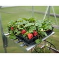 thumbnail image 4 of Palram - Canopia Heavy Duty Shelf Kit for Most Canopia Greenhouses, 4 of 9