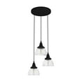 thumbnail image 2 of Hunter Cypress Grove Glass 3 Light Pendant Light Fixture, Round Cluster and Linear Cluster, 2 of 9