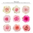 thumbnail image 4 of Member's Mark Ecuadorian Premium Roses, choose color variety and stem count, 4 of 7