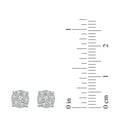 thumbnail image 3 of 0.23 CT. T.W. Round Cut Cluster Diamond Stud Earrings in 14K Gold, 3 of 6