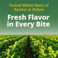thumbnail image 6 of Del Monte Fresh Cut Blue Lake French Style Green Beans, 14 oz., 8 pk., 6 of 8