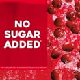 thumbnail image 7 of Ocean Spray Cranberry Juice 96 fl. oz., 2 pk., 7 of 7