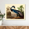 thumbnail image 3 of Louisiana Heron Traditional Canvas Print by Oliver Gal Prints, 3 of 5