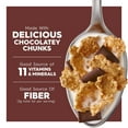 thumbnail image 5 of Kellogg's Special K Chocolate Delight, 16.3 oz., 5 of 7