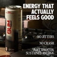 thumbnail image 4 of BUM Energy Soda Variety Pack (5 Root Beer, 5 Dr. Bum, 5 Cola) 12 fl. oz., 15 pk., 4 of 8