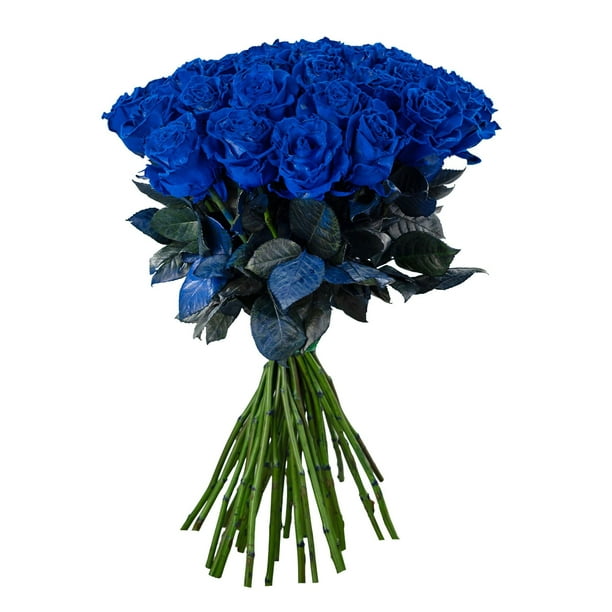 Member's Mark Farm Fresh Velvet Roses, choose color and stem count