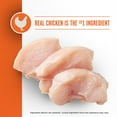 thumbnail image 4 of Member's Mark™ Prime Feast with Chicken + Salmon Dry Cat Food, 25 lbs., 4 of 6