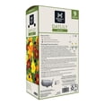 thumbnail image 2 of Member's Mark Daylily Blend Dormant Bulbs, 9pk, 2 of 9