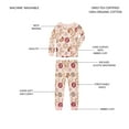 thumbnail image 5 of Member's Mark Girls 4-Piece Organic Cotton Pajama Set, 5 of 13