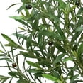 thumbnail image 3 of Faux 8' Olive Tree in Oversized Ceramic Pot, 3 of 6