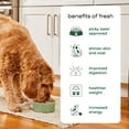 thumbnail image 8 of Freshpet Small Dog Small Bites Chicken Recipe, 2 lbs. packs, 3 ct., 8 of 9