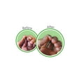 thumbnail image 3 of O'Keeffe's 3-Piece Variety Set, 3 oz., 3 ct., 3 of 6
