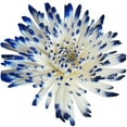 thumbnail image 2 of Member's Mark Painted Mums, 100 stems, Choose color, 2 of 2
