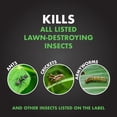 thumbnail image 2 of Spectracide Triazicide Insect Killer for Lawns, 25 lb. Bag of Granules, 2 of 7