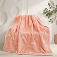 thumbnail image 1 of Kids Licensed Ultra Plush Embossed Throw, 50" x 60", 1 of 5