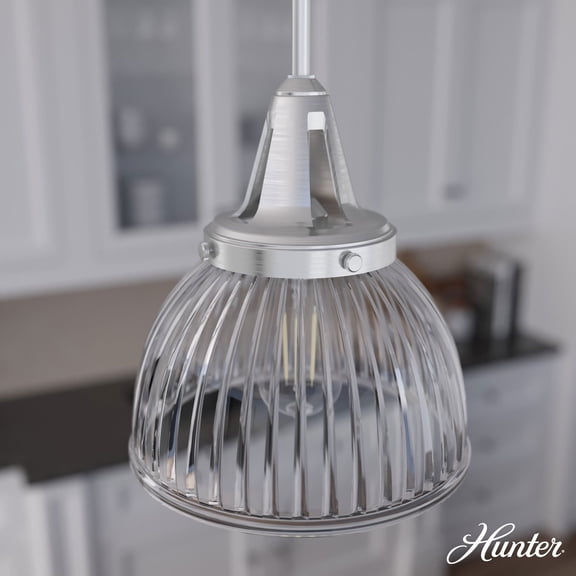 Hunter Cypress Grove with Clear Holophane Glass 1 Light Pendant Ceiling Light Fixture