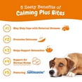 thumbnail image 4 of Zesty Paws Calming Plus Bites, Turkey, 160 ct., 4 of 7
