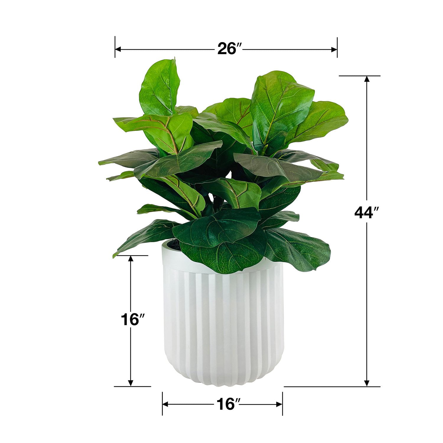 LCG Sales Artificial 44' Premium Fiddle Leaf Fig in an off White Oversized Pot:- 44'