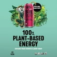 thumbnail image 5 of Yachak Organic Yerba Mate Berry Red Iced Tea (16 fl. oz., 12pk.), 5 of 5