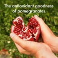 thumbnail image 5 of Pomegranate, 5 ct., 5 of 7