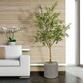 thumbnail image 4 of Faux 8' Olive Tree in Oversized Ceramic Pot, 4 of 6