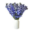 thumbnail image 2 of Member's Mark Sea Waltz Hybrid Delphinium, choose stem count, 2 of 5