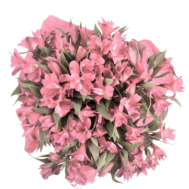 Member's Mark Alstroemeria, Choose color and stem count