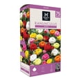 thumbnail image 1 of Member's Mark Ranunculus Blend Dormant Bulbs, 75pk, 1 of 9