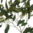 thumbnail image 3 of Member's Mark Cupped Seeded Eucalyptus, 40 stems, 3 of 5